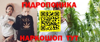 мдпв Нальчик