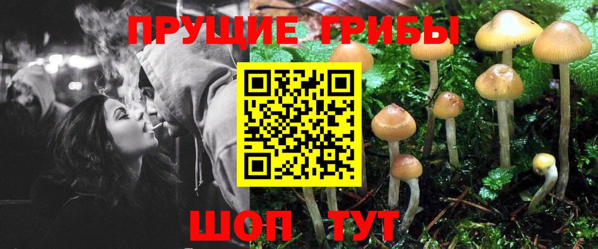Псилоцибиновые грибы Magic Shrooms  Вход с VPN  Алатырь  Галлюциногенные грибы прущие грибы 